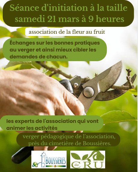 Capture d'écran 2026-03-17 074644