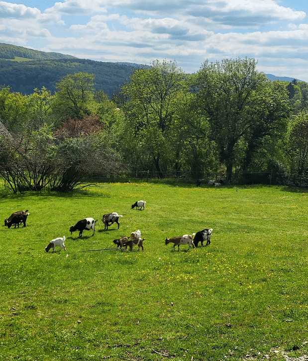 Capture d'écran 2026-04-15 161143