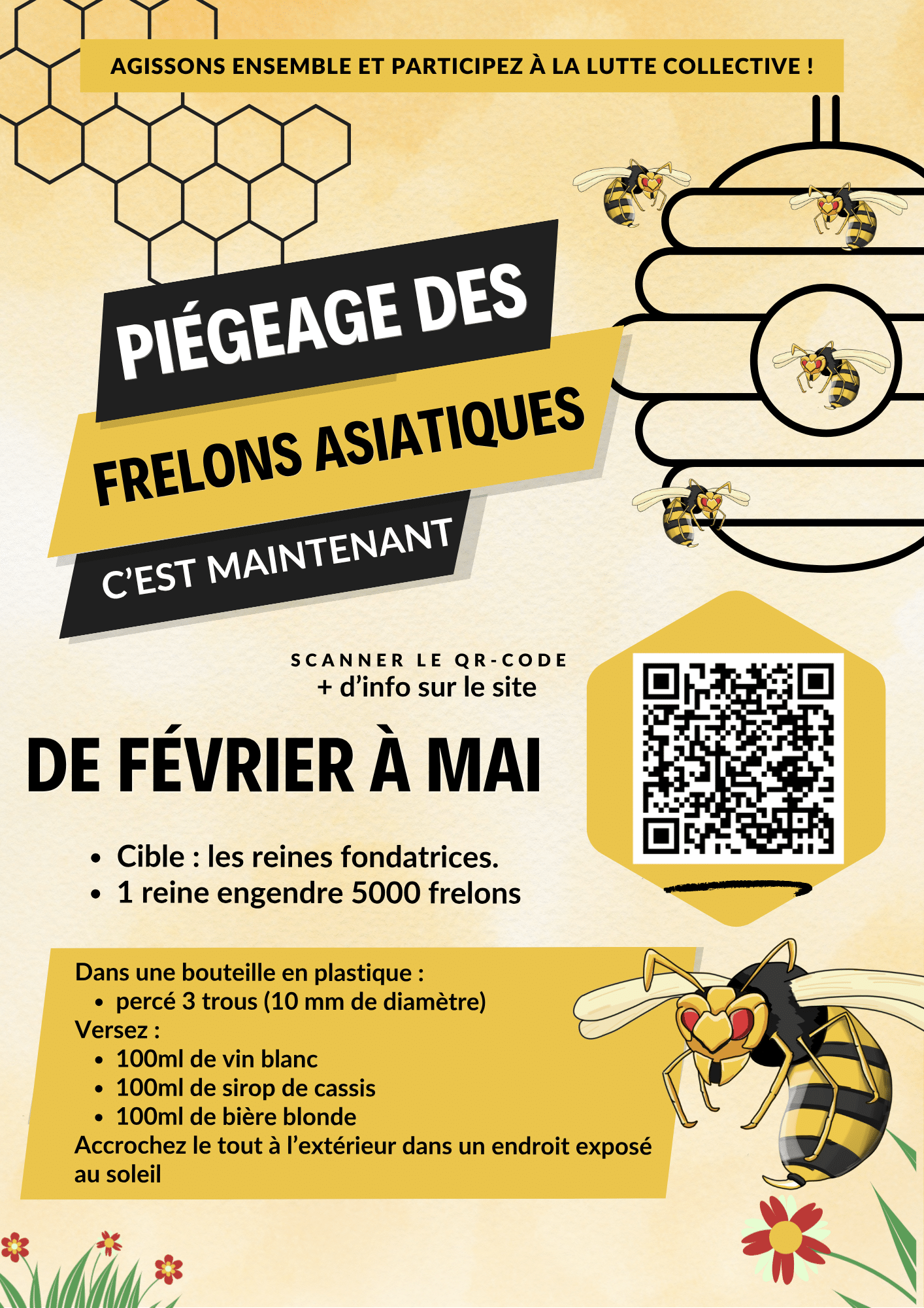 Lutte Frelons Asiatiques