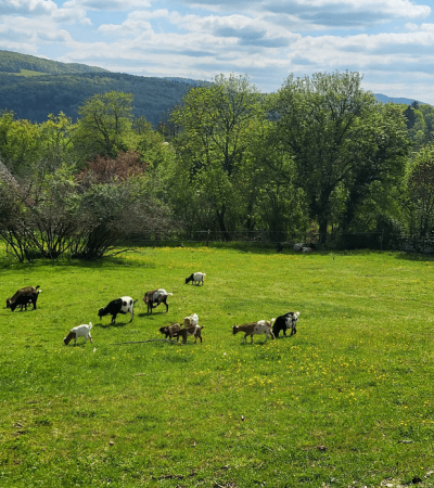 Capture d'écran 2026-04-15 161143
